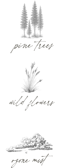 Pine Trees, Wild Flowers, Ozone Mist