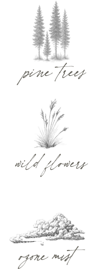 Pine Trees, Wild Flowers, Ozone Mist