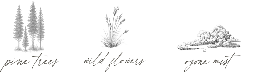 Pine Trees, Wild Flowers, Ozone Mist